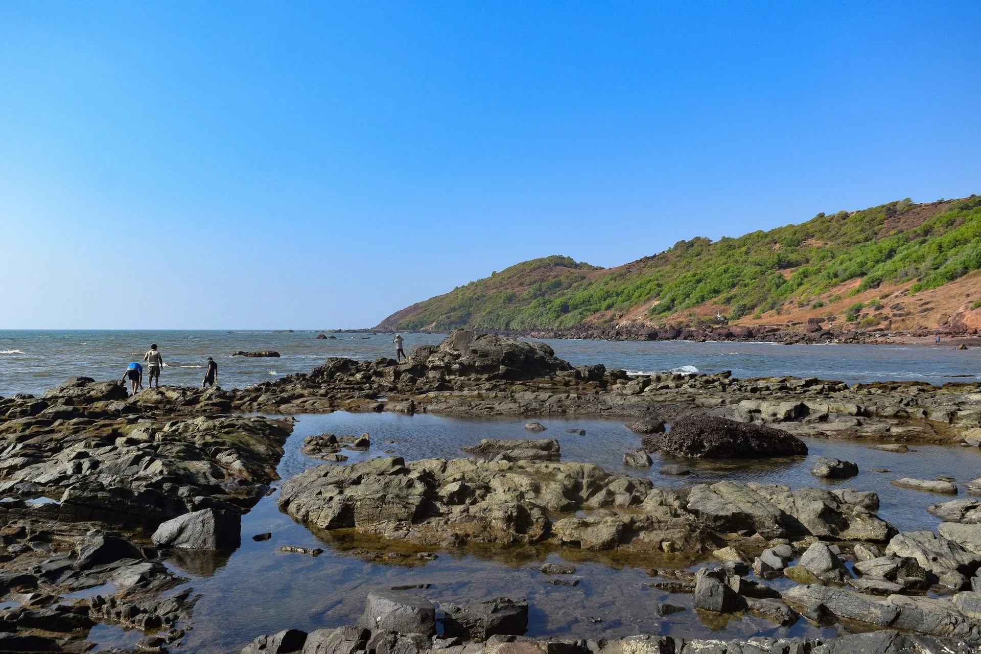 Dark rocks and still tide pools along Anjuna Beach beneath a green headland on a clear day
