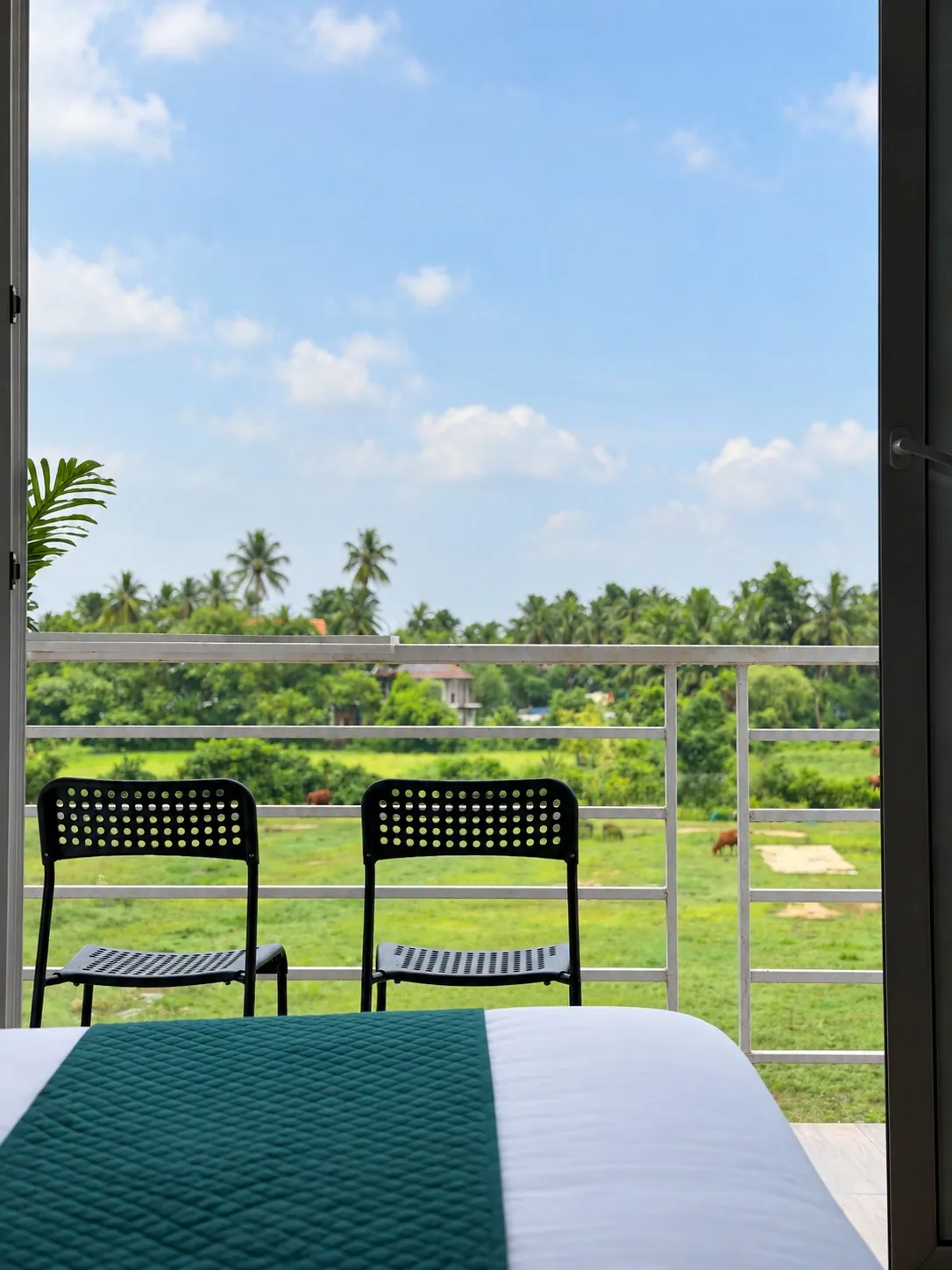Two chairs on Rivara's balcony, looking out over palms and green fields in Siolim