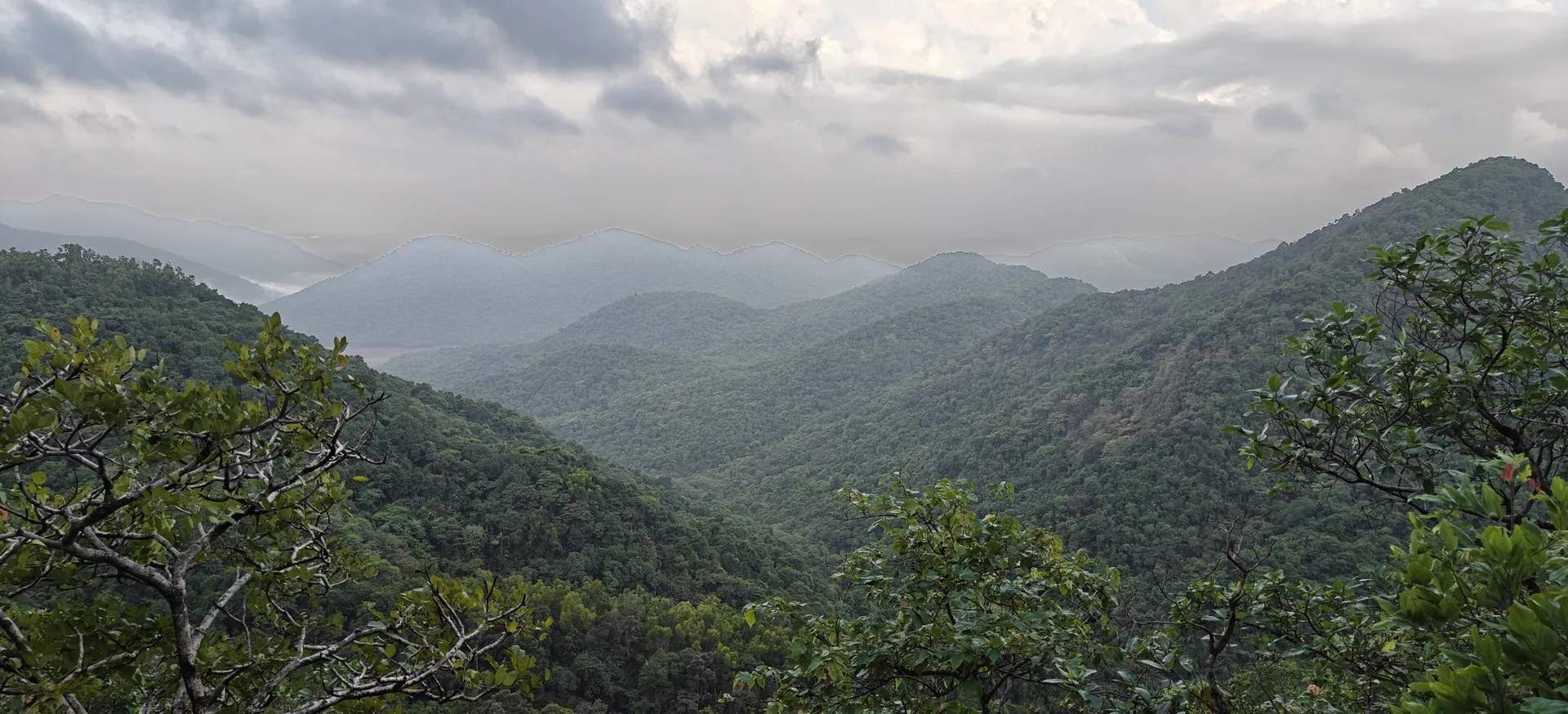 Forested hills of the Western Ghats in the Mhadei Wildlife Sanctuary, north-east Goa
