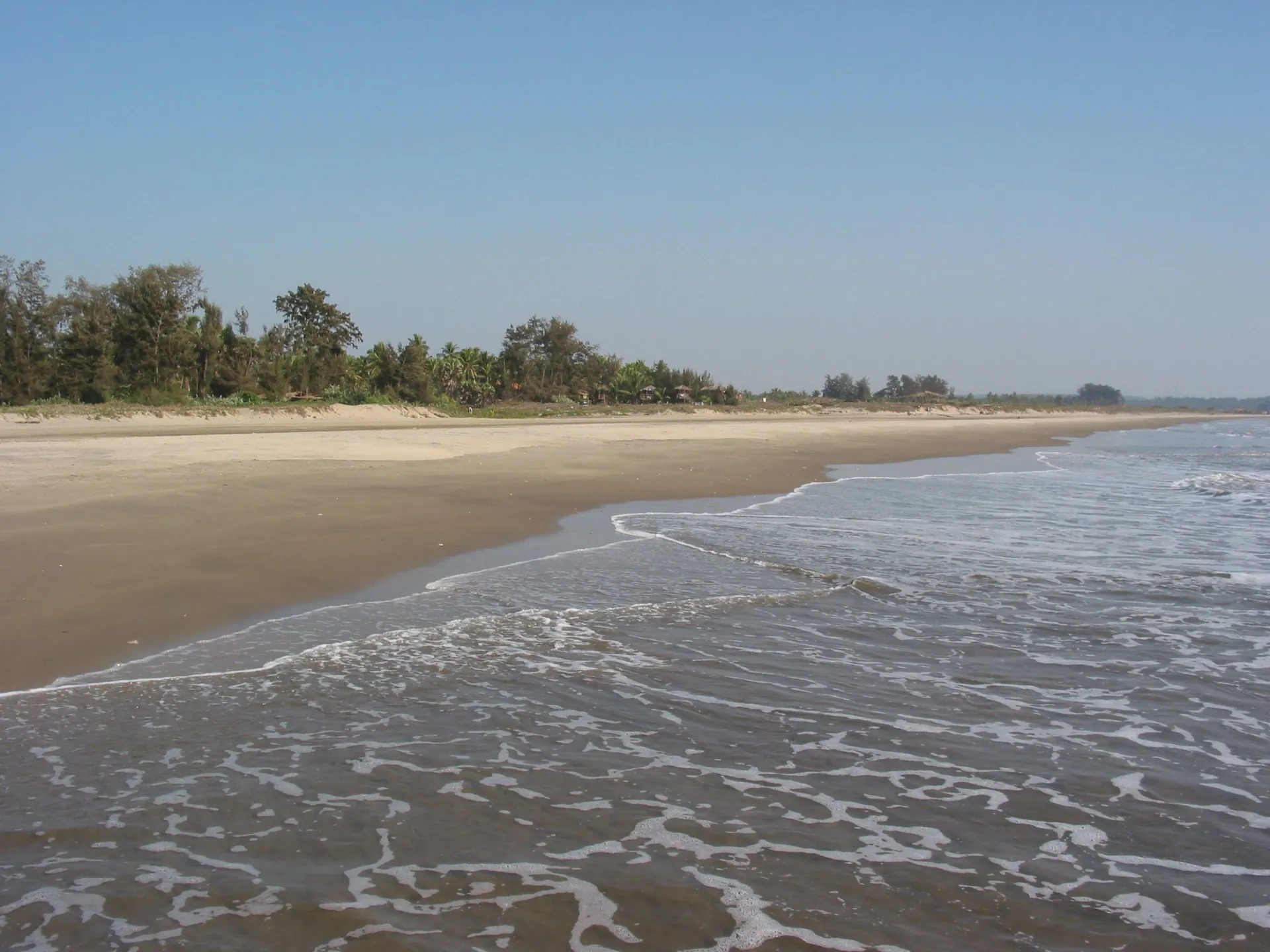 Gentle surf washing over the long, empty sands of Morjim Beach, backed by a line of trees, North Goa