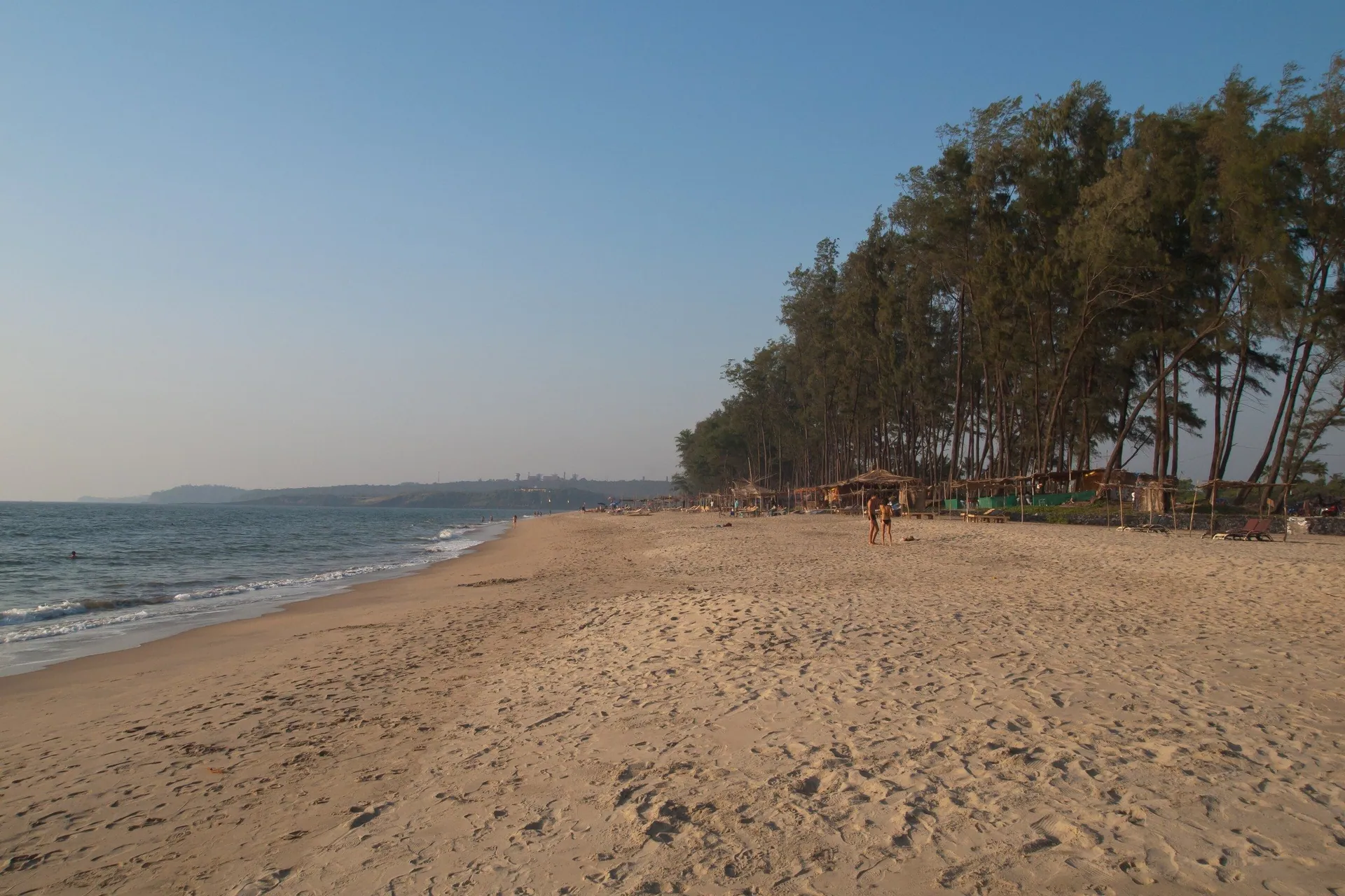 Golden sand and a line of casuarina trees along Querim Beach in warm light, northern Goa